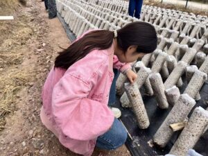 种了20年蘑菇的老把式，竟然输给了一颗传感器？蘑盒MOHO团队