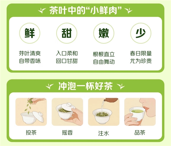 春分至，京东七鲜预售明前西湖龙井，错过再等一年