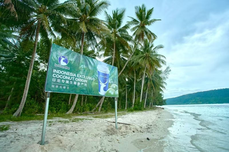 瑞幸生椰拿铁卖爆20亿杯!推出一整颗生椰新品