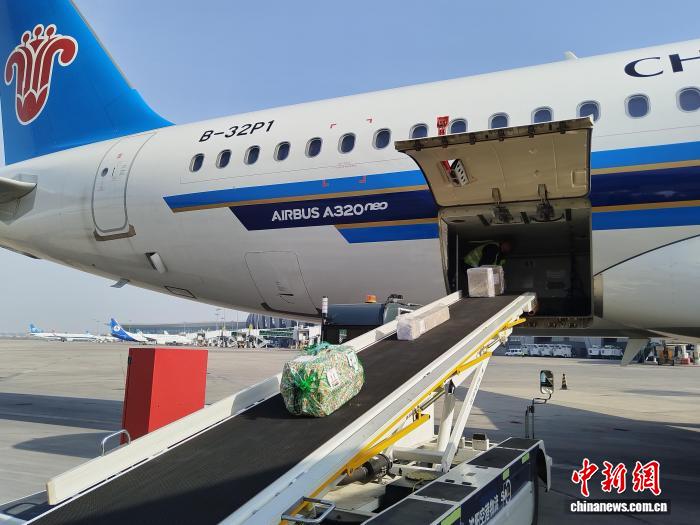 全国首单！活体猫用9710模式出口韩国