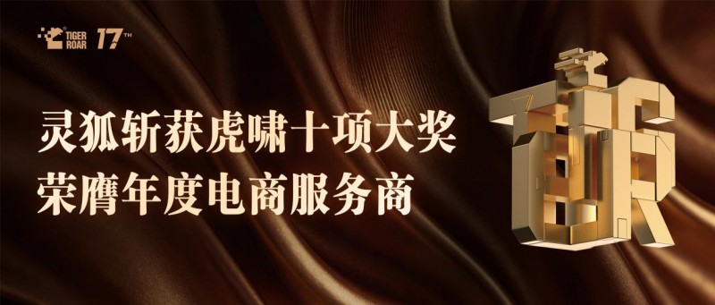 电商营销团队必看：灵狐获2026年度电商服务商，助力品牌销量增长