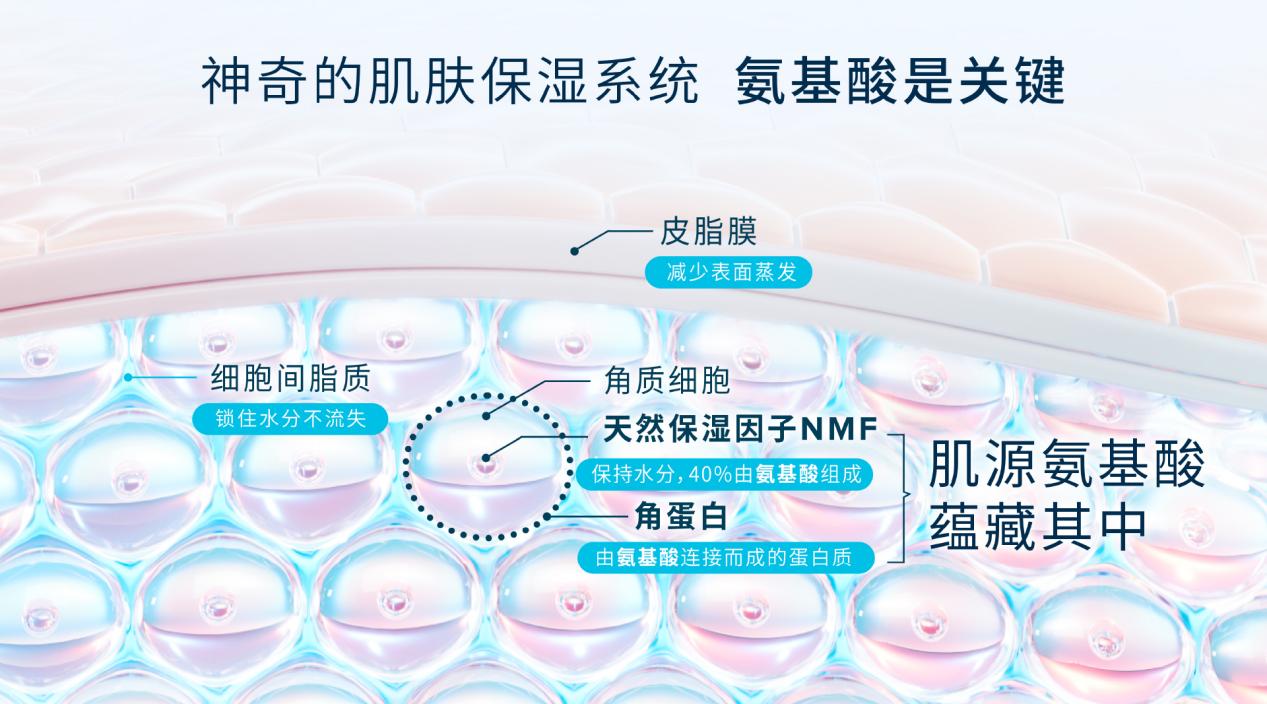 芙丽芳丝发布氨基酸新技术,专治年轻后天敏感肌