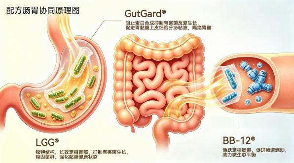 养胃益生菌怎么选？避开通便型，认准这4类人群适配方案