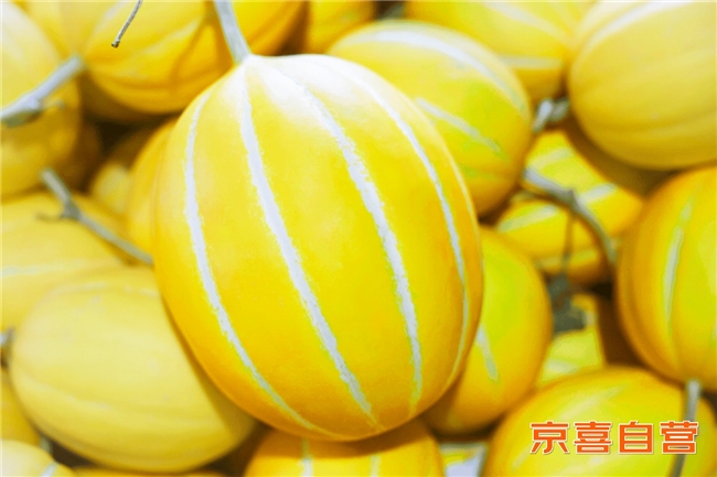 京东京喜自营助农卖宁夏蜜瓜蔬菜,科技农业新品全国推广