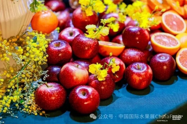 2026 澳大利亚果蔬坚果产业交流晚宴在上海举行